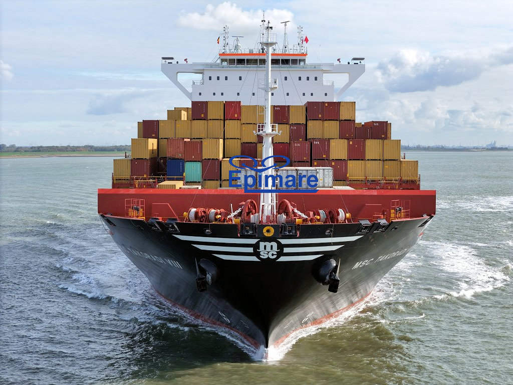 Datum: 18-10-2025 | Plaats: Hansweert (Nederland)