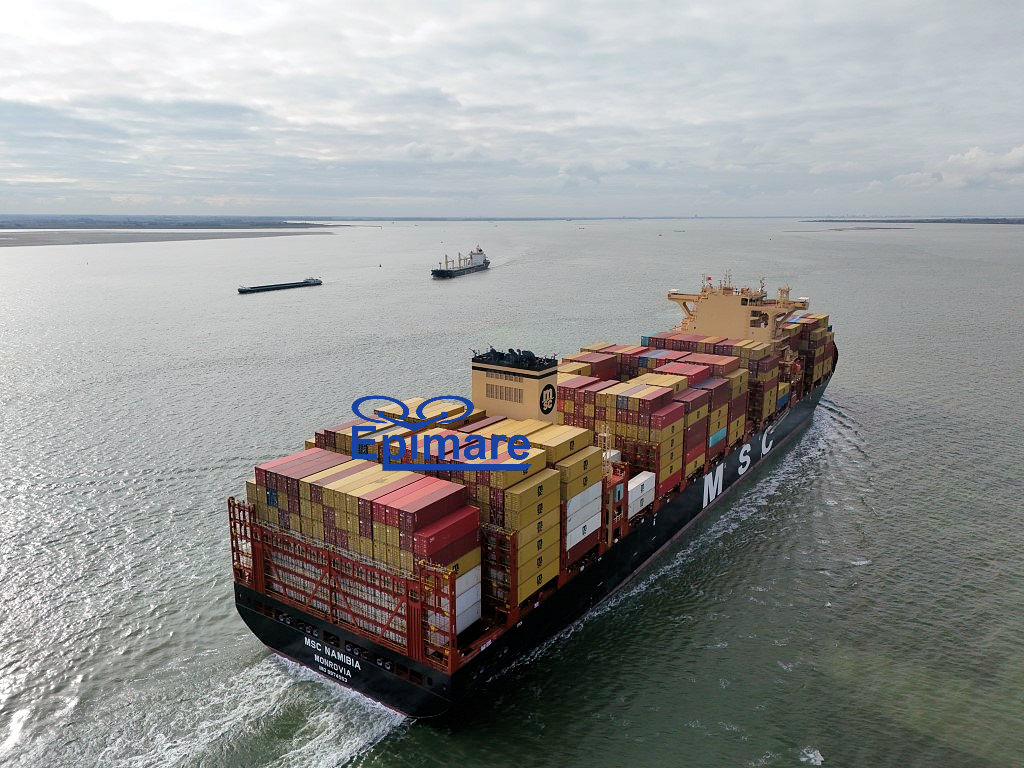 Datum: 18-10-2025 | Plaats: Hansweert (Nederland)