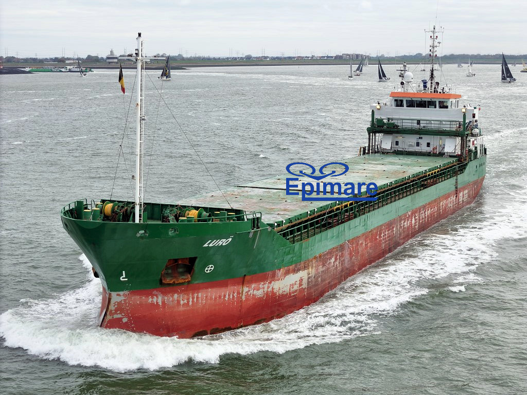 Datum: 18-10-2025 | Plaats: Hansweert (Nederland)