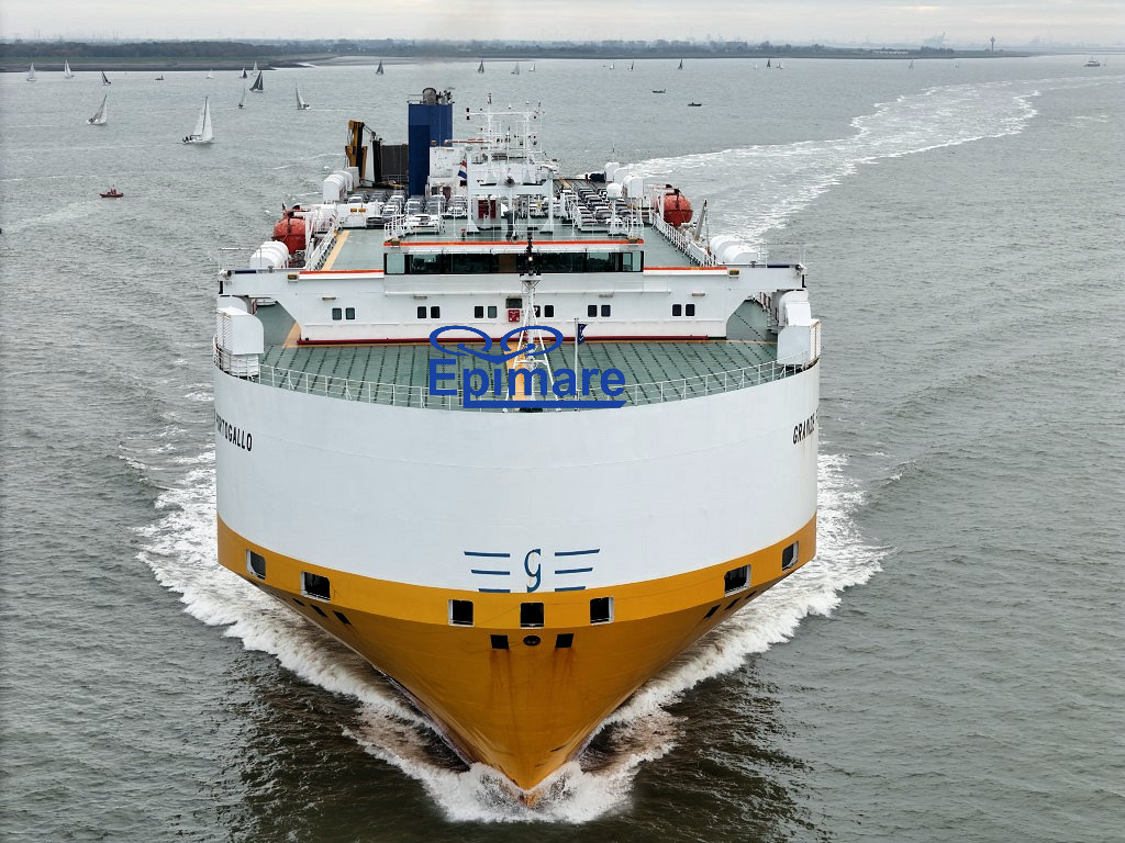 Datum: 18-10-2025 | Plaats: Hansweert (Nederland)