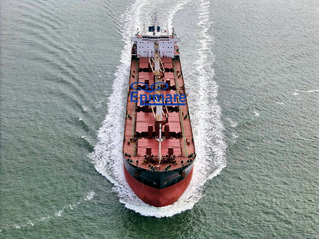 Datum: 18-10-2025 | Plaats: Hansweert (Nederland)